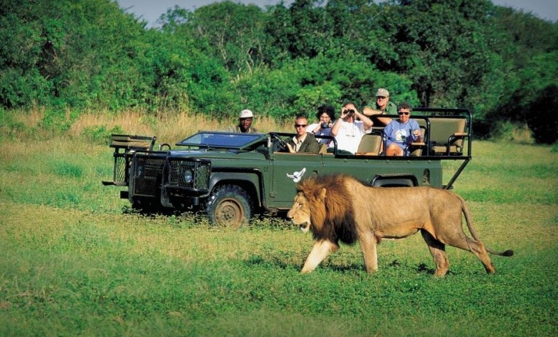 Френски туристи изчезнаха докато наблюдават диви животни в Африка