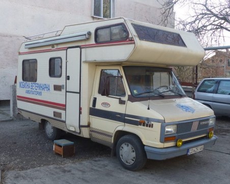 Мобилни екипи ловят бездомни кучета в Стамболийски