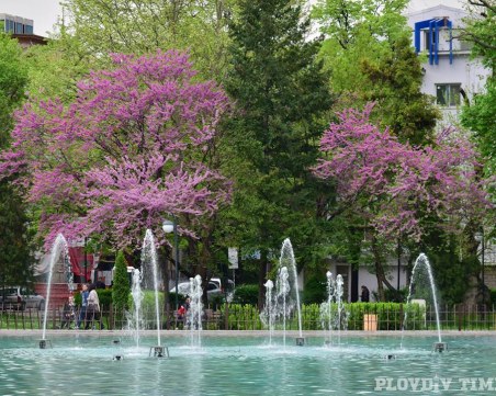 Уникално светлинно шоу в деня на Европа в Пловдив