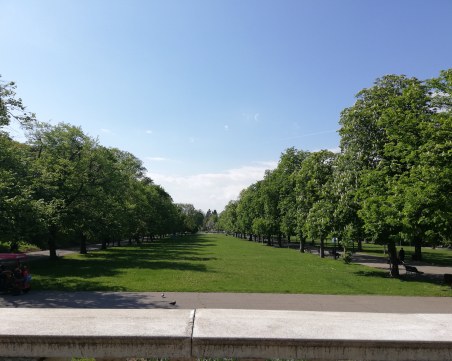 Лицата на Борисовата градина: Алея 