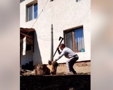 Мъжът, съсякъл котка с брадва в Разложко, отива на съд