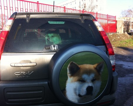 Онсен: Българска интернет звезда, роден в Полша, с японски корени