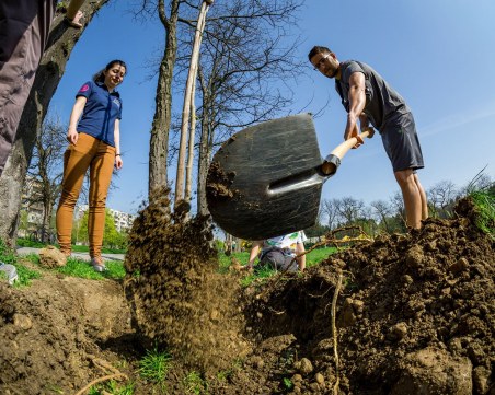 Засаждат 55 нови дръвчета на три места в столицата