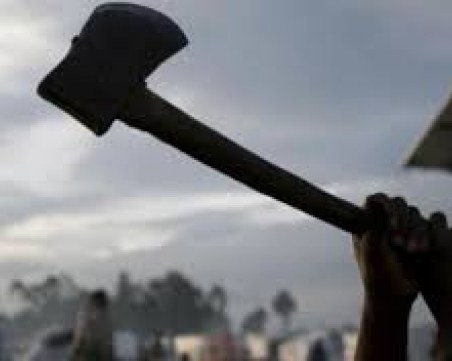 След скандал: Търновец халоса с брадва кучето на съседа си