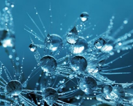 В сезона на дъждовете – дъжд от оставки! Кои си тръгнаха? Защо си тръгнаха?