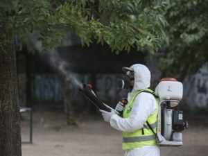Пръскат срещу комари и кърлежи в Пловдив