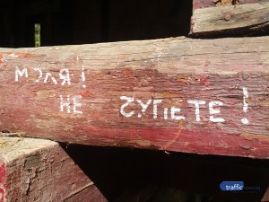 В какво се превърна гората на нашето детство?
