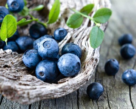 7 суперхрани за здрави бъбреци