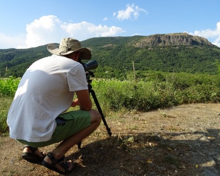 Колко врабчета ще видите за 10 минути тази сутрин?