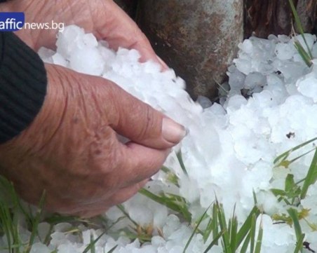 Описват още днес щетите от градушката, министър обеща обезщетения