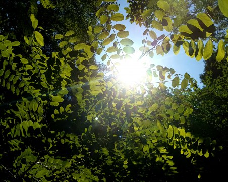 Съботата и неделята – слънчеви! Идната седмица ни очаква прекрасна пролет