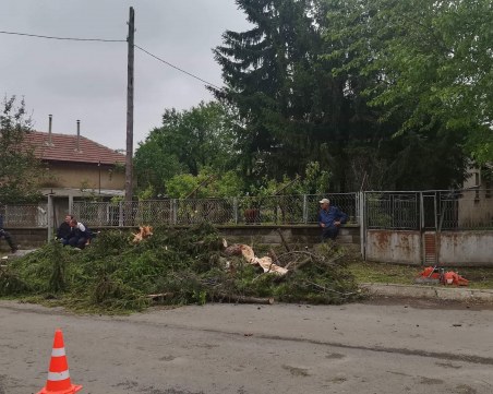Ураганен вятър и градушка връхлетяха свищовското село Морава