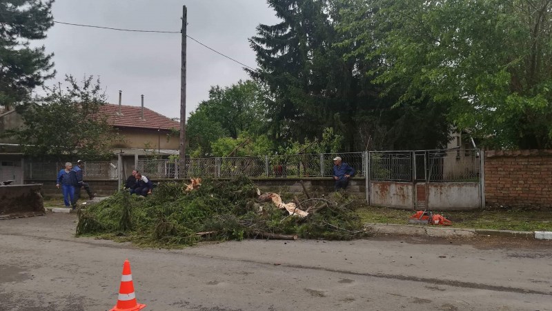 Ураганен вятър и градушка връхлетяха свищовското село Морава