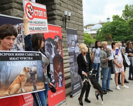Протест срещу агресията над животни. Граждани поискаха работеща зоополиция