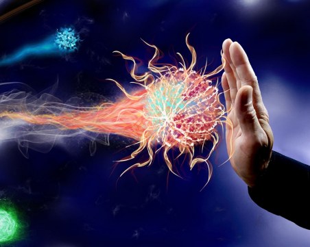 Уникално микроскопично видео: Как имунната система убива вирус в кръвта ни?