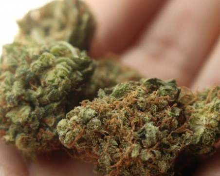 31-годишен дилър на дрога спипан в Бургас, в дома му – ганджа и пико