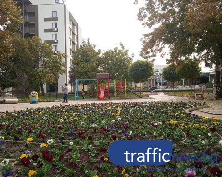 Край на 20-годишна сага: Община Стамболийски си върна терена под централния площад