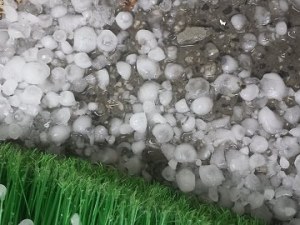 Щетите след градушката: 70 хил. дка – напълно унищожени