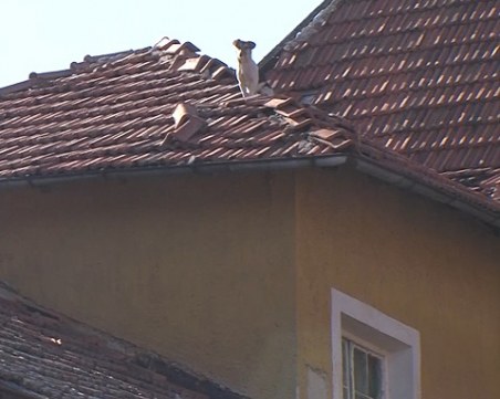 Буря в Божурище: Вятър събори тухли и уби 47-годишен мъж