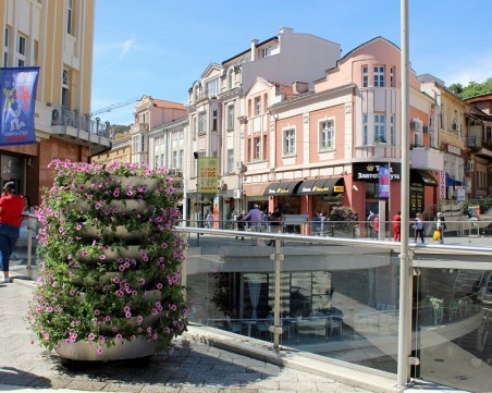 Над 3 милиона нови цветя водят лятото в Пловдив