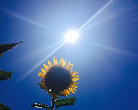 Изборната неделя – слънчева! Максималните температури стигат 29°C