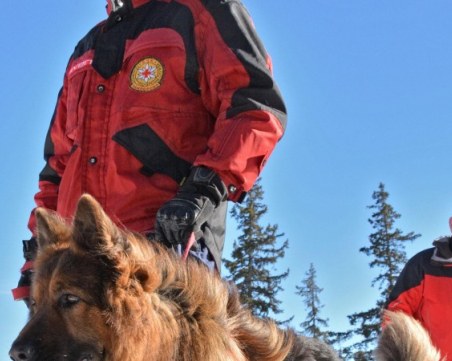 Планински спасители намериха през нощта две деца в Лозенската планина