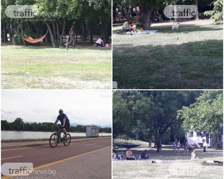 Пловдивчани разпънаха хамаци на Гребната, цвърчат пържоли в изборния ден