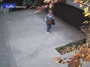 Камери заснеха крадла в центъра на Пловдив