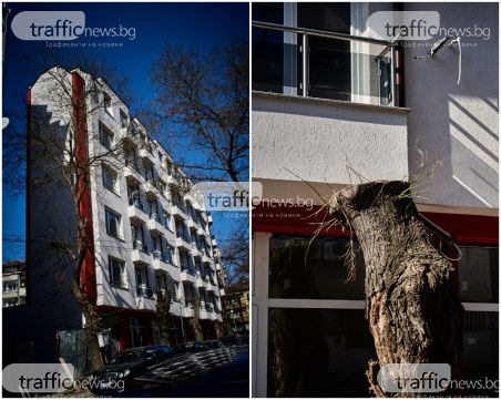 Алиса ли живее тук? Чудат блок се извиси в центъра на Пловдив