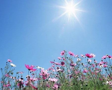 Лято в края на май. Градусите във вторник из страната стигат до 33