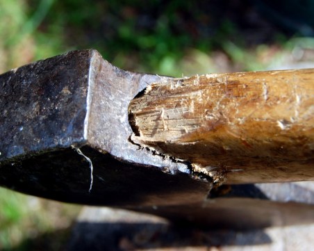 69-годишен удари с брадва в гърба бездомно куче в Смолян