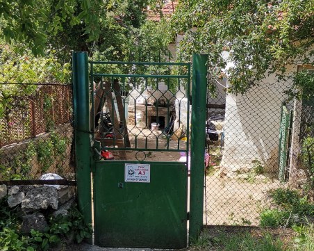 Куче захапало Чане край Горна Василица, но той избягал