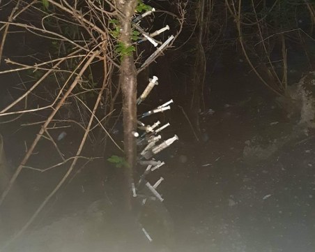 Наркомани или просто хулигани пробиха със спринцовки софийско дърво?