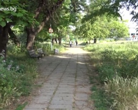 Паркът зад хотел 