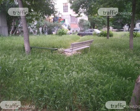 След бума на ухапани деца от кърлежи в Пловдив  - пак ще пръскат зелените площи