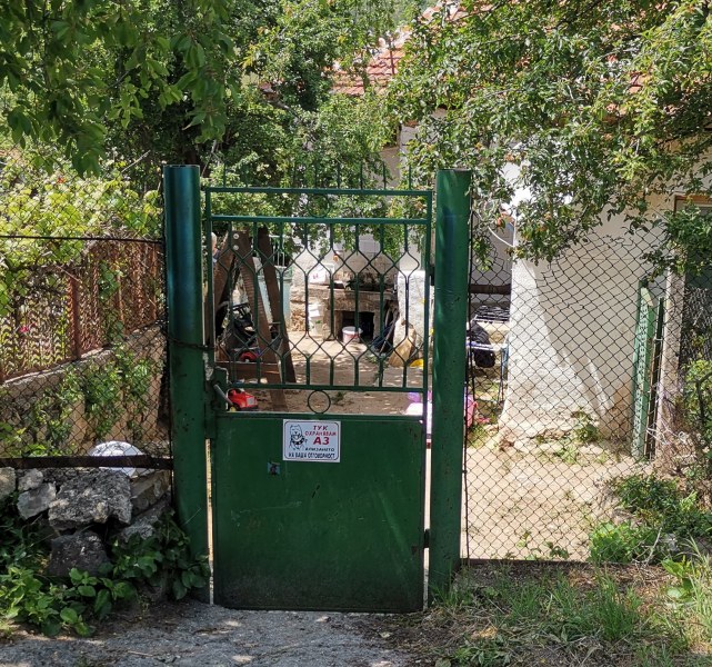 Куче захапало Чане край Горна Василица, но той избягал