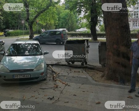 Клон се сгромоляса върху автомобил в Пловдив
