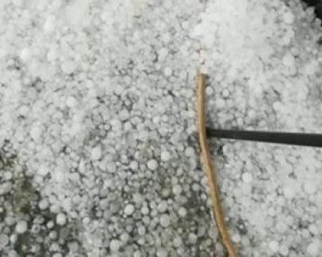 Буря и силна градушка удари Трявна! Влаковете спряха, дърво се срути върху бус