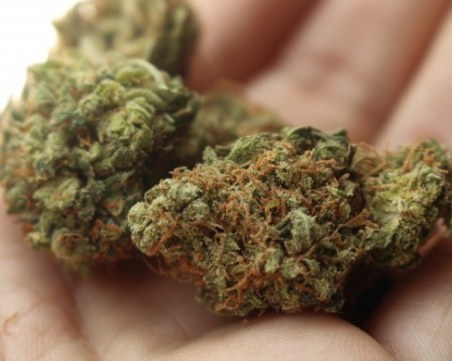 Google удари продажбата на трева в Play Store