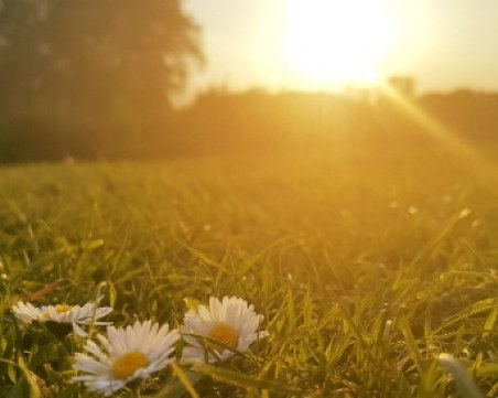 Летният юни се задава, летни ли ще са градусите? НИМХ: От 15 до 35°С ще са!