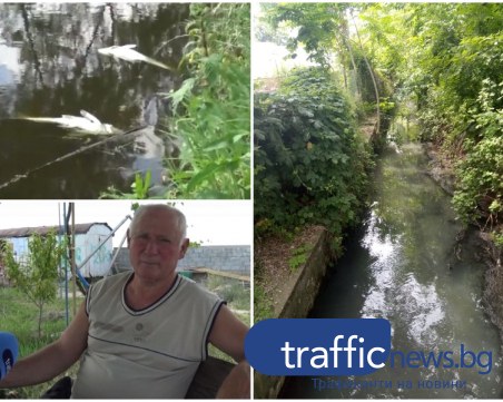 Отровна вода потече в реката до Ново село, погуби риби, жаби и водорасли