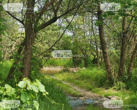 Свидетел на престрелката с Чане: Чуха се 4 изстрела и всичко затихна!