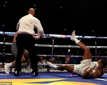 Тюлените готвили Антъни Джошуа за мача с Анди Руиз