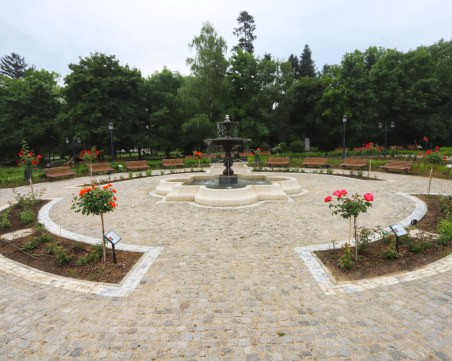 2000 рози ще разцъфнат в новия столичен розариум