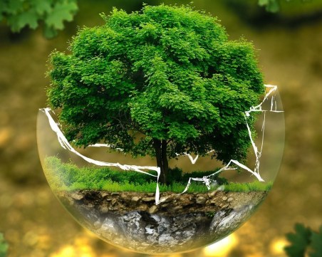 Днес е Световният ден на околната среда! Ето какво очаква столичани в Южен парк