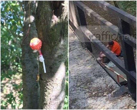 Невинно лакомство или? Любимо място на пловдивчани често става убежище на наркомани