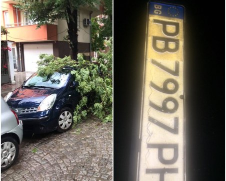 Последиците от бурята - дърво падна върху автомобил, регистрационни номера хвърчат по булевардите