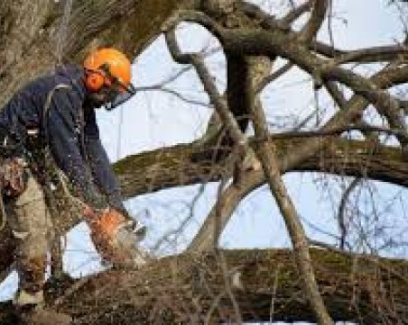 Работата е по-голям убиец от пиенето, дрогата и войната