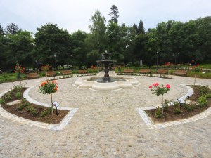2000 рози ще разцъфнат в новия столичен розариум