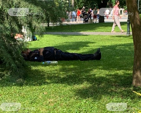 Мъж, с разкопчан дюкян, си лежи в Цар-Симеоновата градина в Пловдив навръх 1 юни